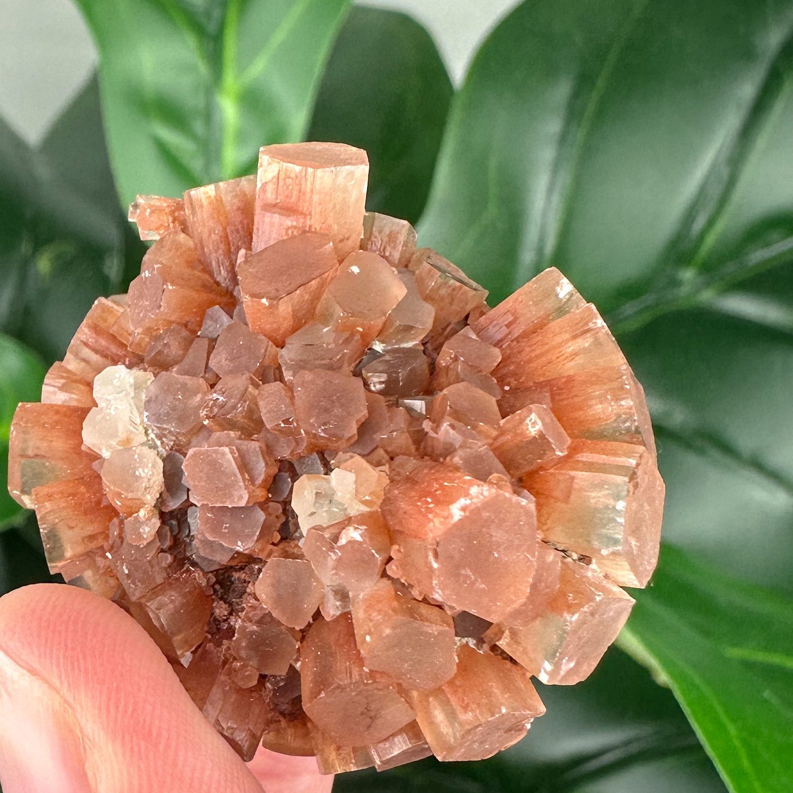 Aragonite Sputnik Mineral Specimen | Grounding & Calming Crystal