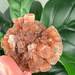 Aragonite Sputnik Mineral Specimen | Grounding & Calming Crystal