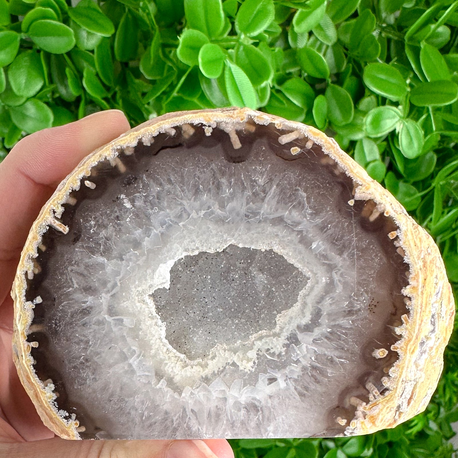 Smoky Agate Geode Slice with Sparkling Centre