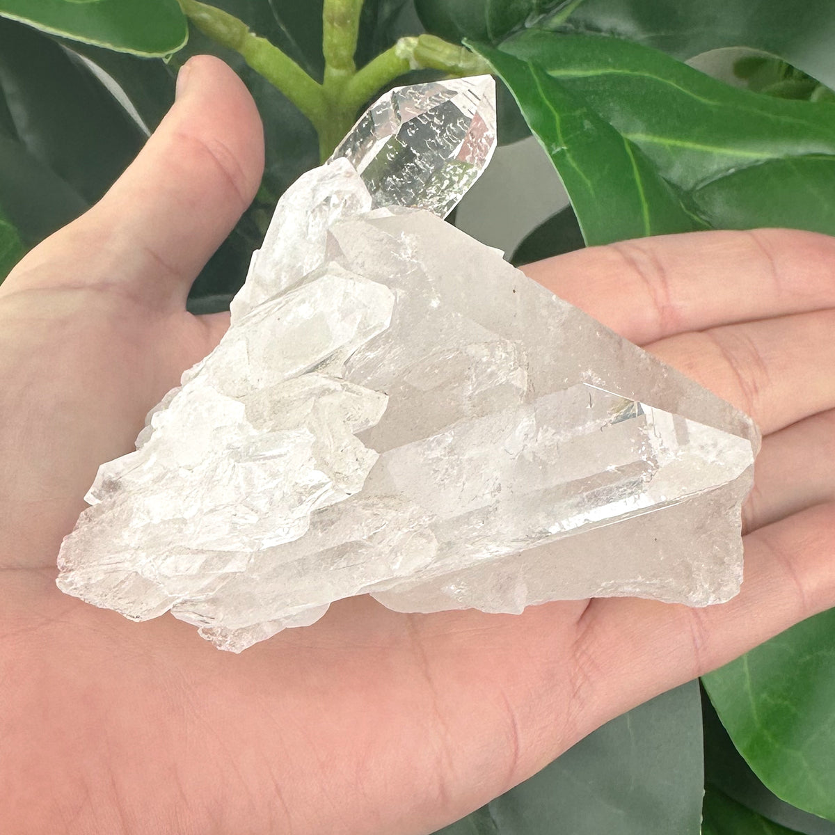 Clear Quartz Cluster | Natural Crystal | Clarity & Energy Amplification