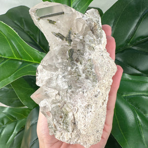 Epidote in Quartz Crystal | Growth, Healing & Manifestation