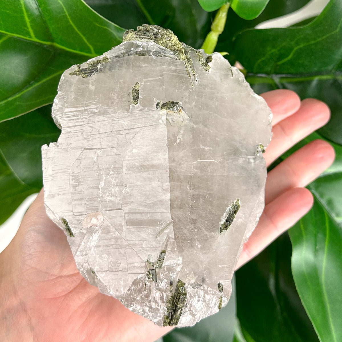 Large Epidote in Quartz Crystal | Transformation & Spiritual Growth