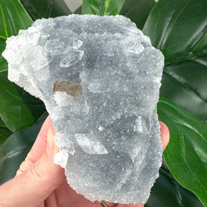 Small Apophyllite Cluster | Cleansing & Peaceful Energy