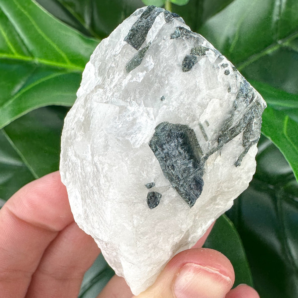 Raw Tourmaline Rod in Quartz | Grounding, Protection & Balance