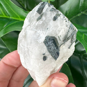 Raw Tourmaline Rod in Quartz | Grounding, Protection & Balance