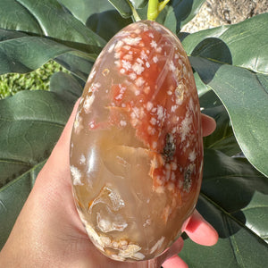 Flower Agate Free Form Crystal | Feminine Energy, Growth & New Beginnings