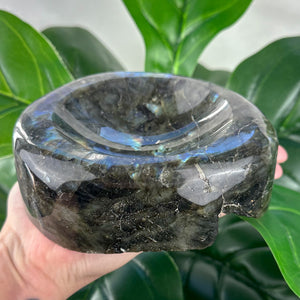 XL Labradorite Bowl Carving from Madagascar | Flash, Protection & Luxury Crystal Décor