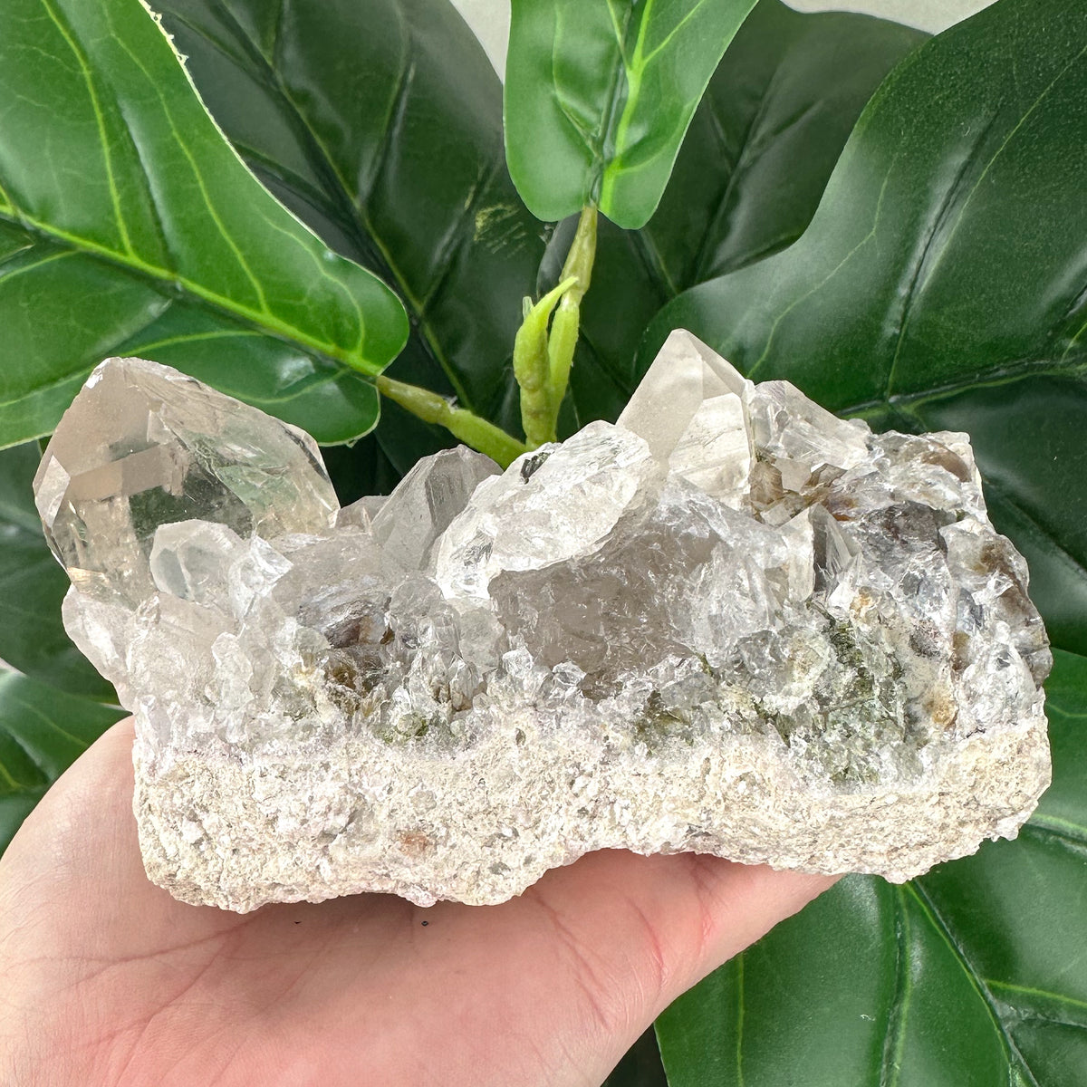 Epidote in Quartz Crystal | Growth, Healing & Manifestation