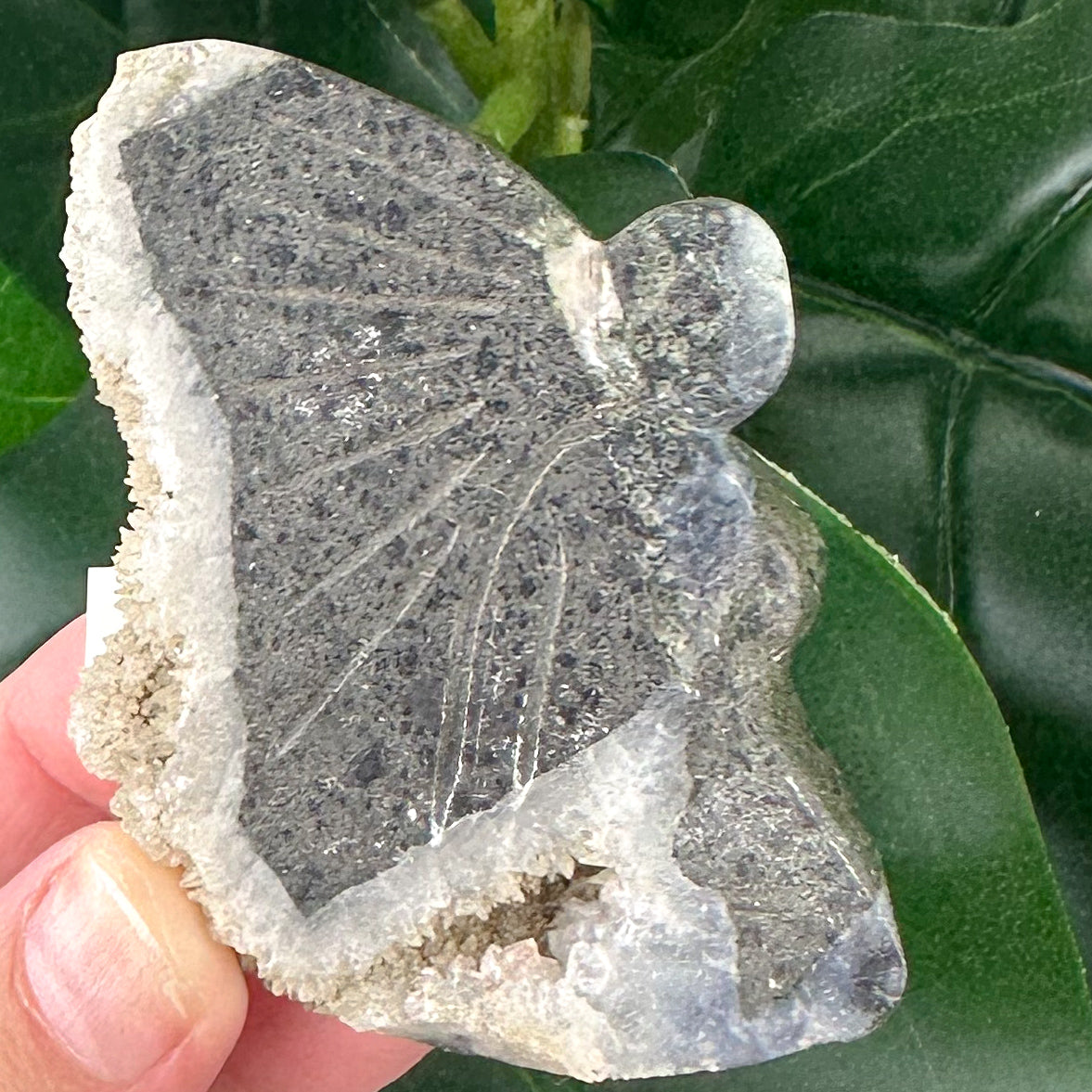 Hand Carved Fairy with Quartz Druzy Wings | Spiritual Crystal Decor (54g)