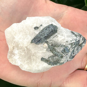 Raw Tourmaline Rod in Quartz | Grounding, Protection & Balance