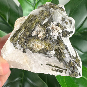 Epidote Included Quartz Crystal | Healing, Grounding & Energy Clearing