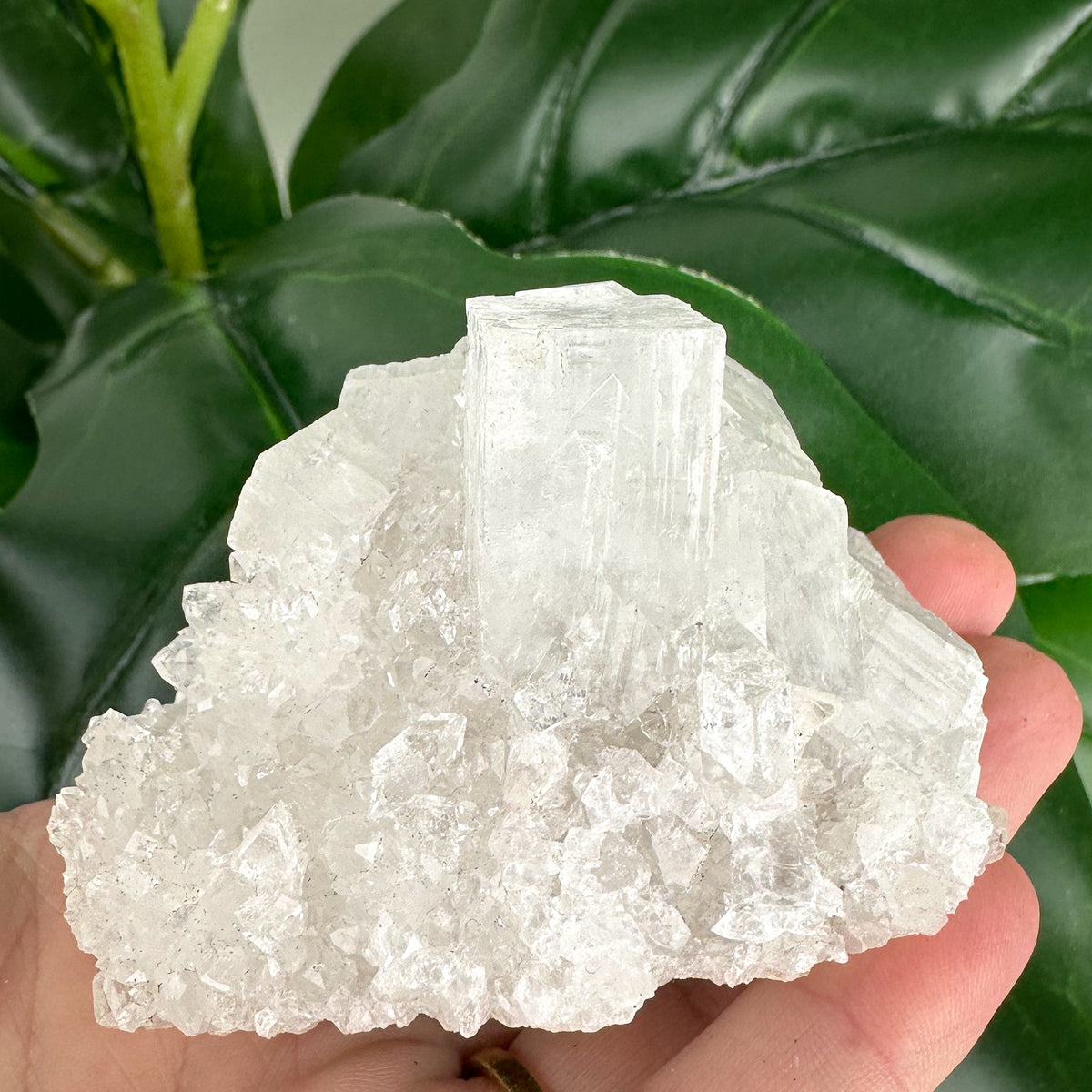 Apophyllite Cluster No.5 – Rainbow Cubes & Clarity (167g)