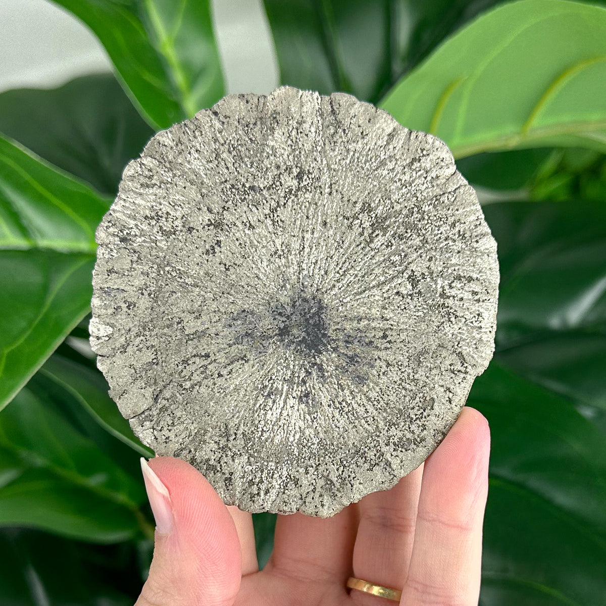 Large Pyrite Sun Crystal (103g), Raw Collector Mineral for Protection & Power