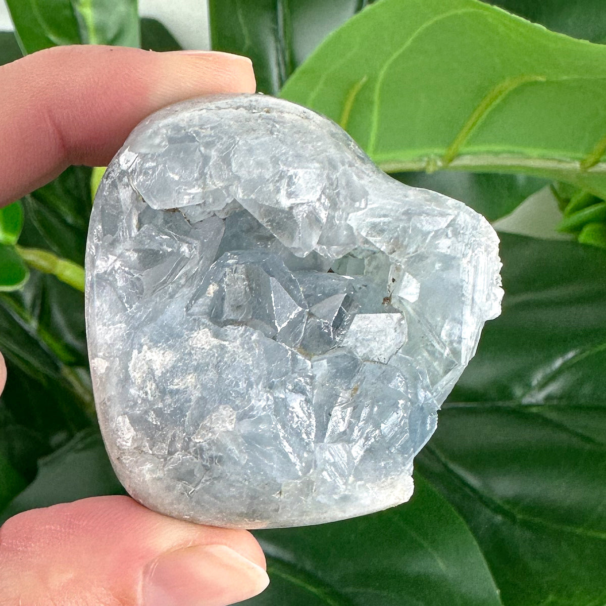 Celestite Cluster “Peaceful Glow”