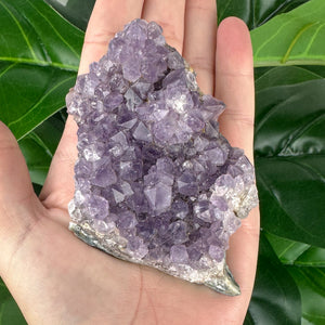 Amethyst Cluster | Raw Crystal | One of a Kind | Calm & Protection
