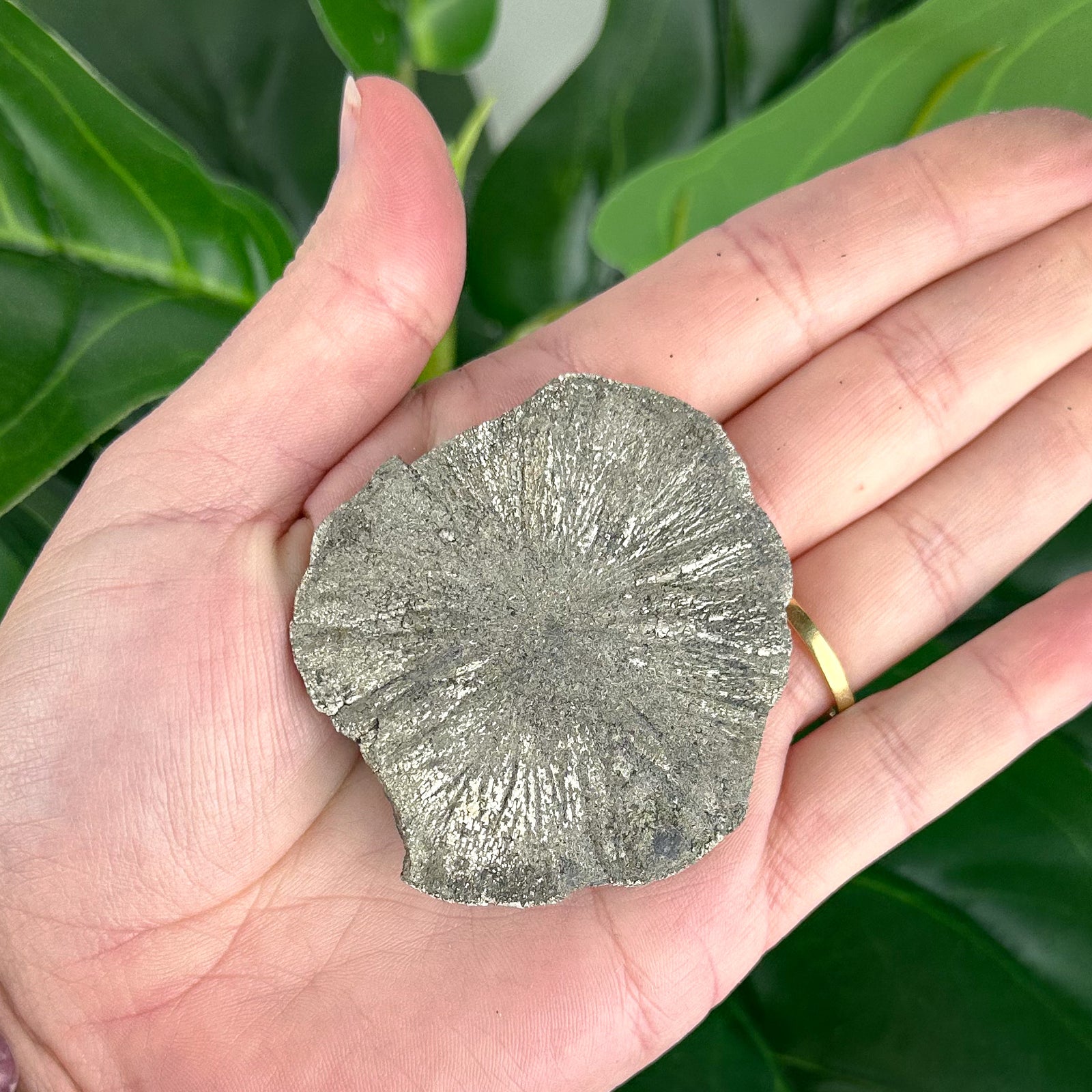 EBD469C7-6500-4399-95C0-F5FE5B4F3BAC