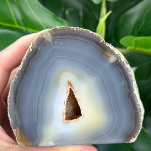 Agate Base Cut Geode | Grounding, Balance & Druzy Crystal Beauty