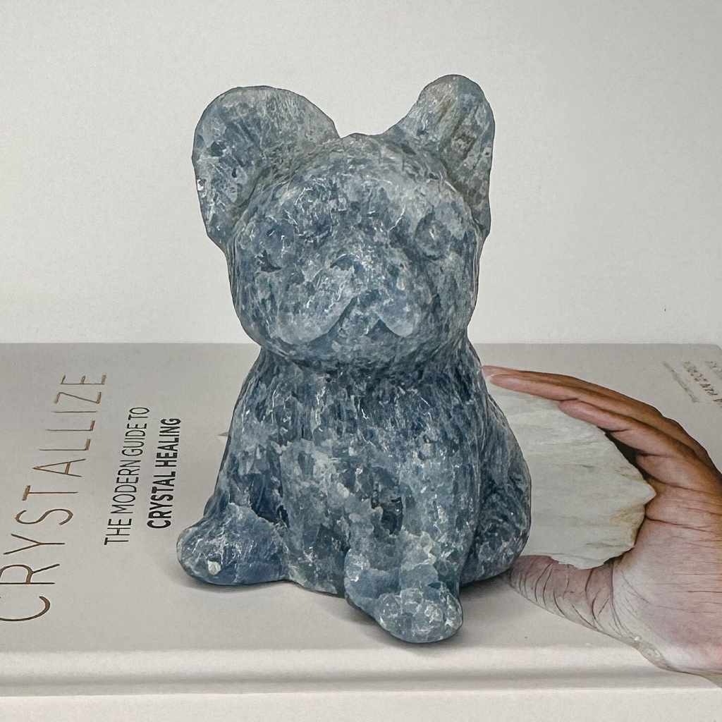 EC_Featured_1024_px_Shapes