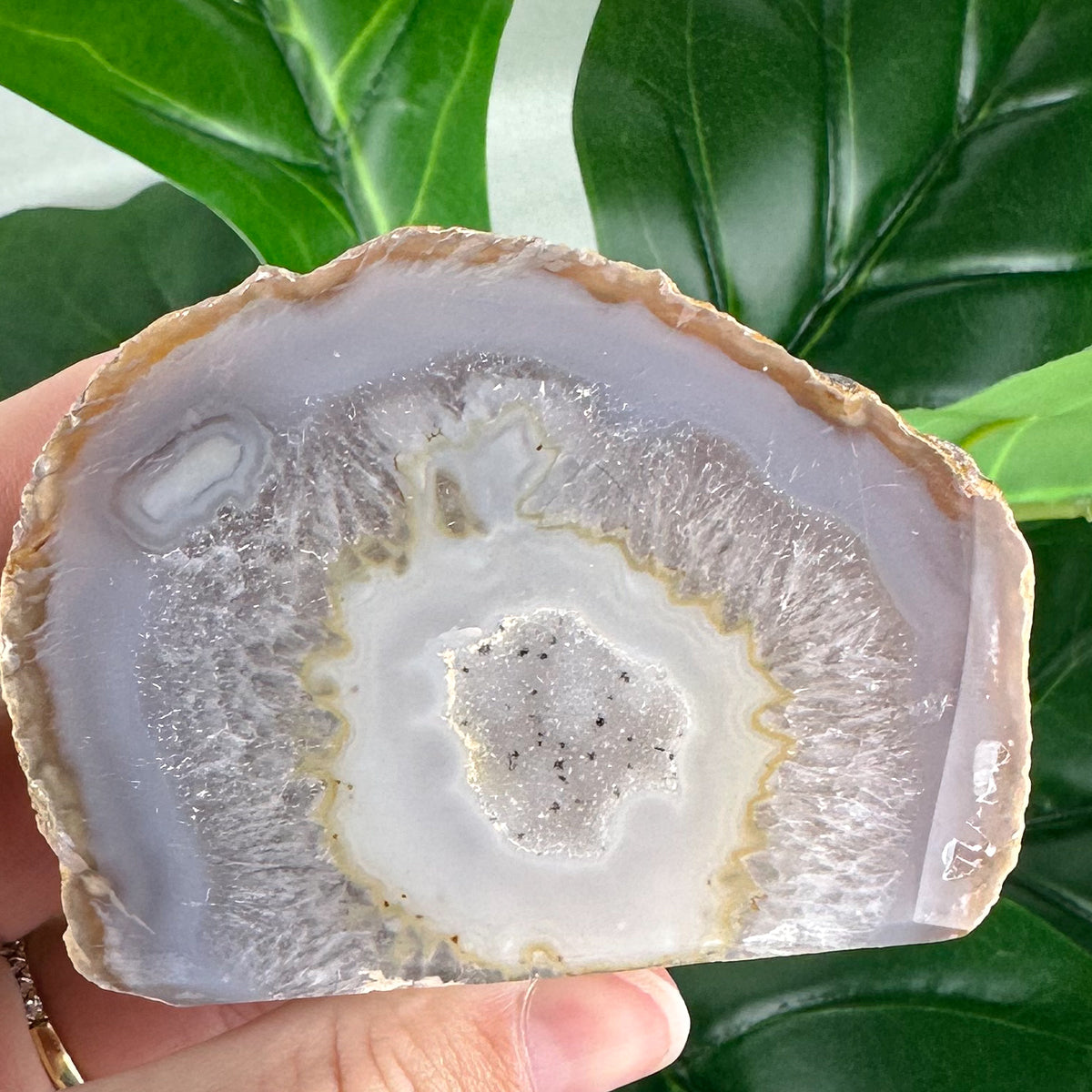 Soft Honey & Cream Agate Slice with Starry Druzy | Freestanding Polished Crystal