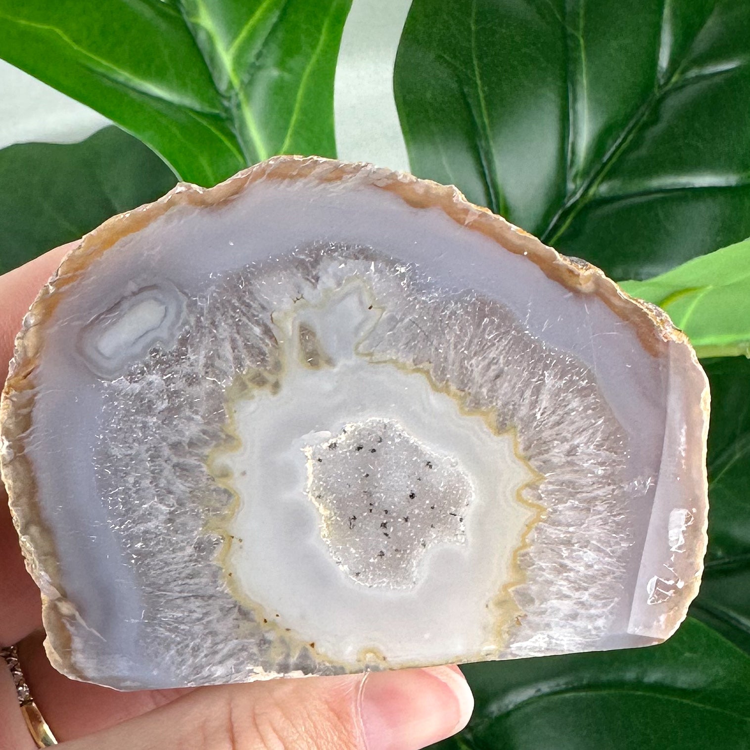 Soft Honey & Cream Agate Slice with Starry Druzy | Freestanding Polished Crystal