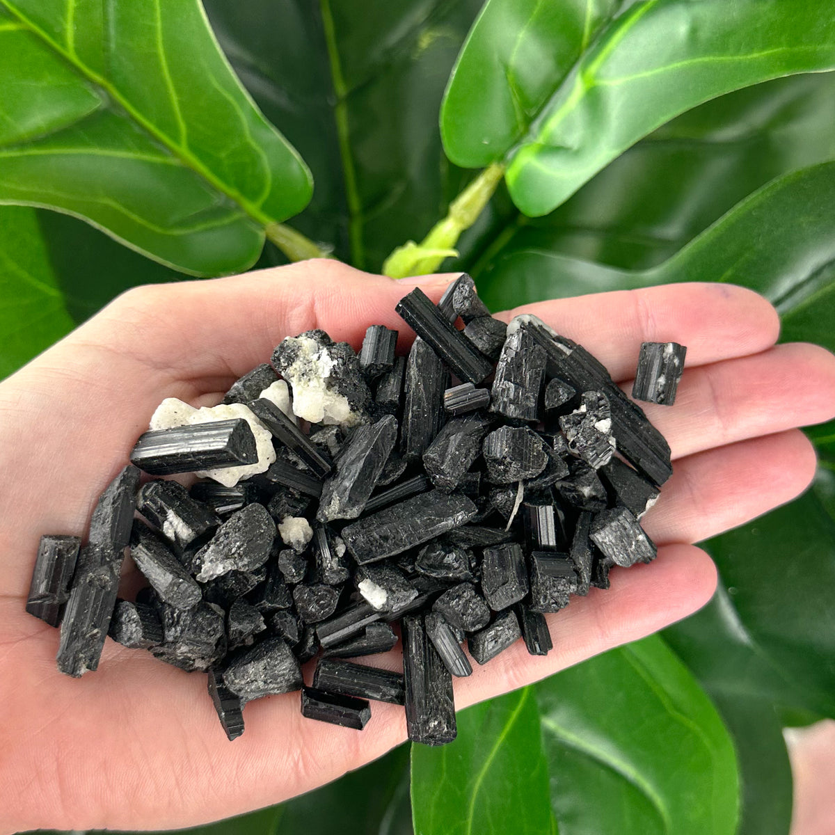 Raw Black Tourmaline Crystal | Protection & Grounding Stone