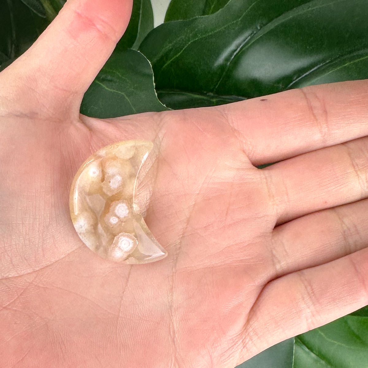 Flower Agate Moon Crystal #3 | Growth & New Beginnings Crystal
