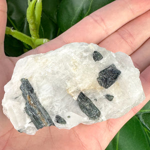 Green Blue Tourmaline in Quartz | Protection, Growth & Grounding