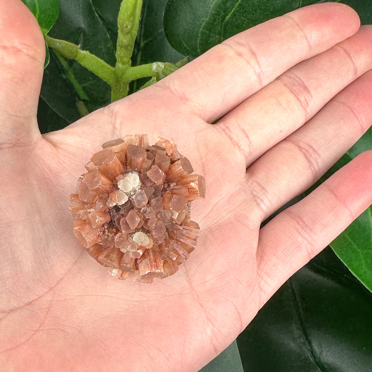 Aragonite Sputnik Mineral Specimen | Grounding & Calming Crystal