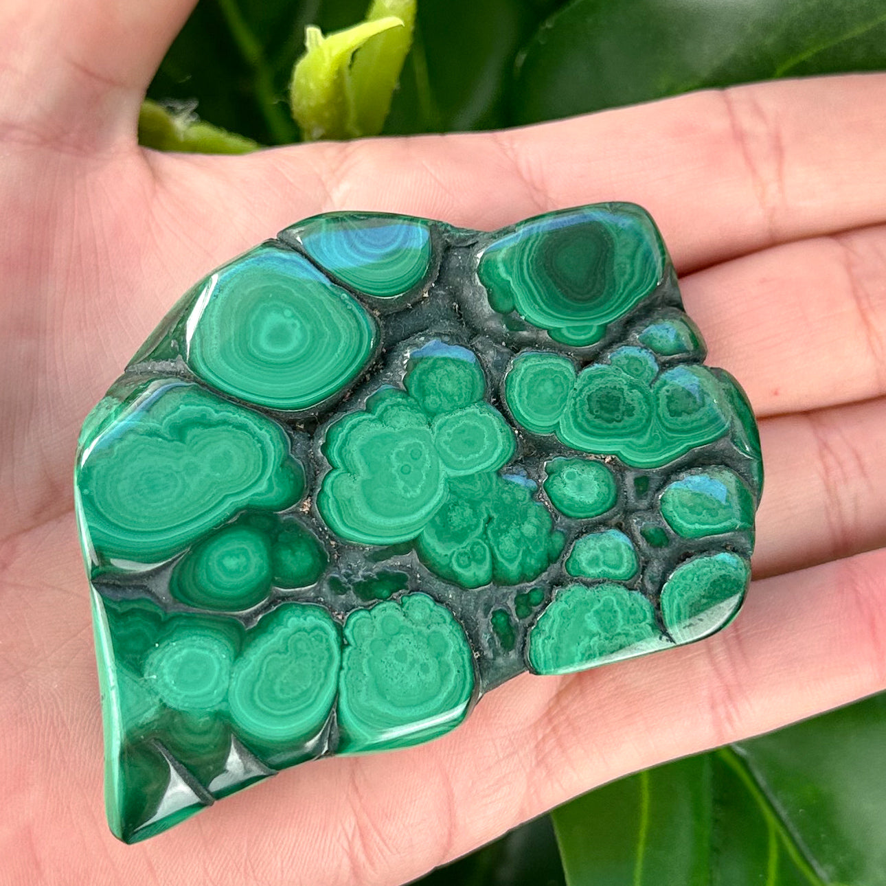 Polished Malachite Crystal | Grounding, Confidence & Protection
