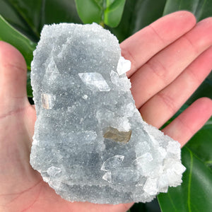 Small Apophyllite Cluster | Cleansing & Peaceful Energy