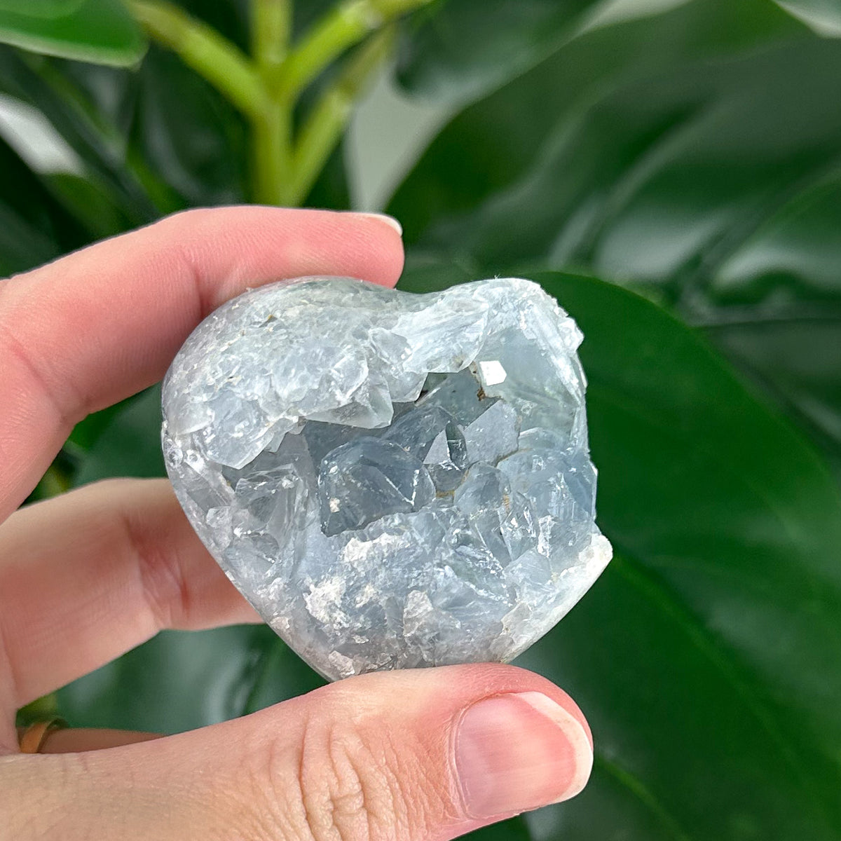 Celestite Cluster “Peaceful Glow”