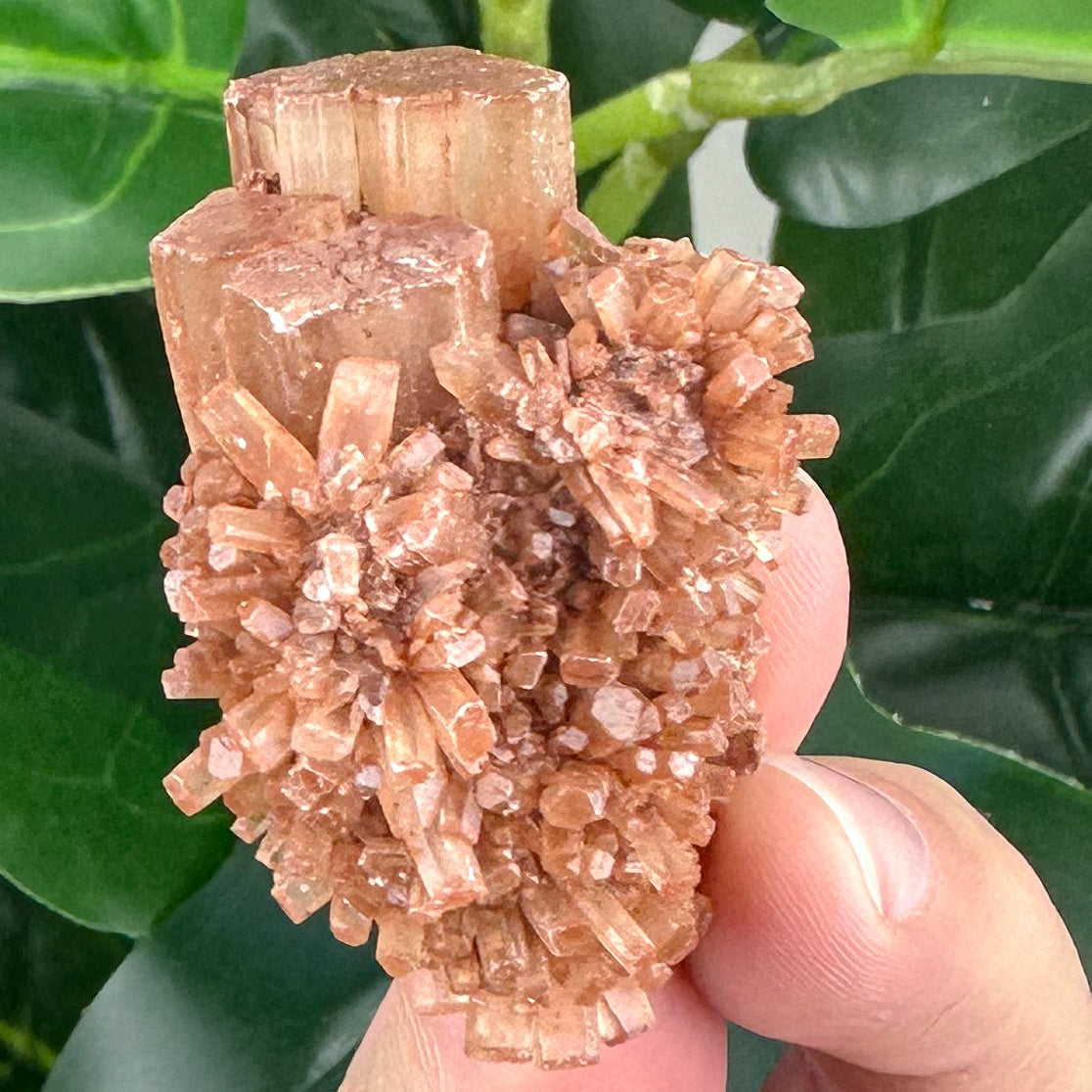 Aragonite Sputnik Formation | Earth Energy, Grounding & Support