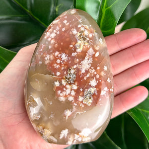 Flower Agate Free Form Crystal | Feminine Energy, Growth & New Beginnings
