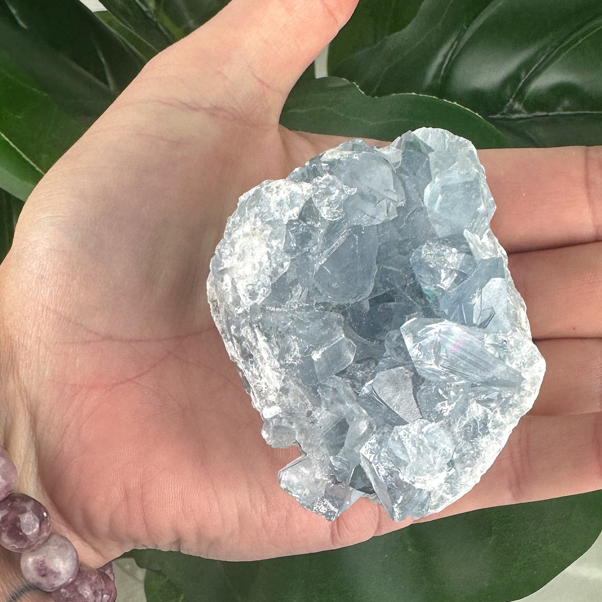 Celestite Cluster “Rainbow Portal”