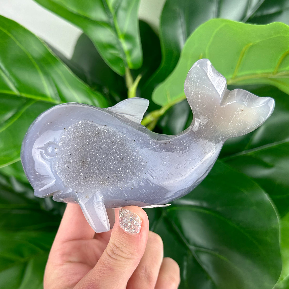 Agate Druzy Whale