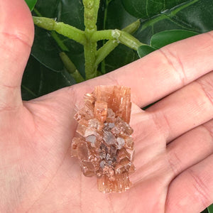 Aragonite Sputnik Cluster | Stability, Grounding & Earth Energy Crystal