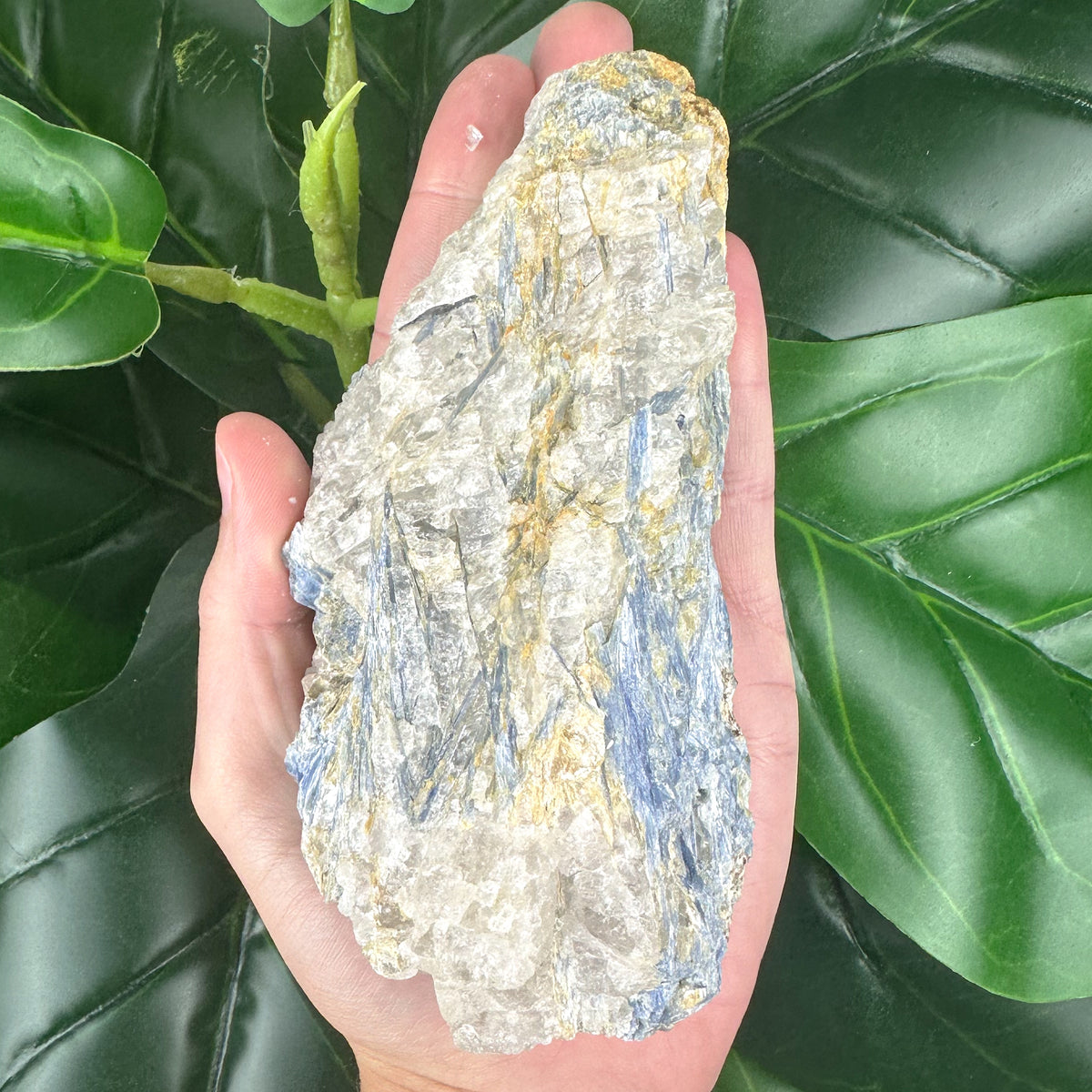 Blue Kyanite Matrix Specimen | Alignment, Intuition & Inner Peace