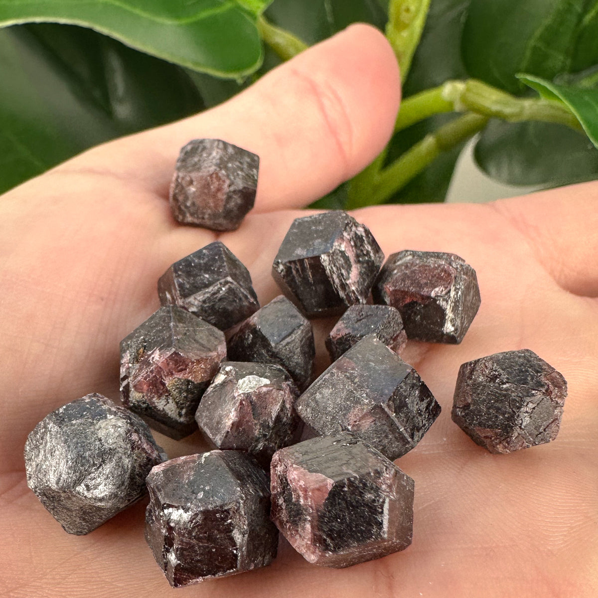 Natural Garnet Rough Crystal | Grounding, Passion & Protection