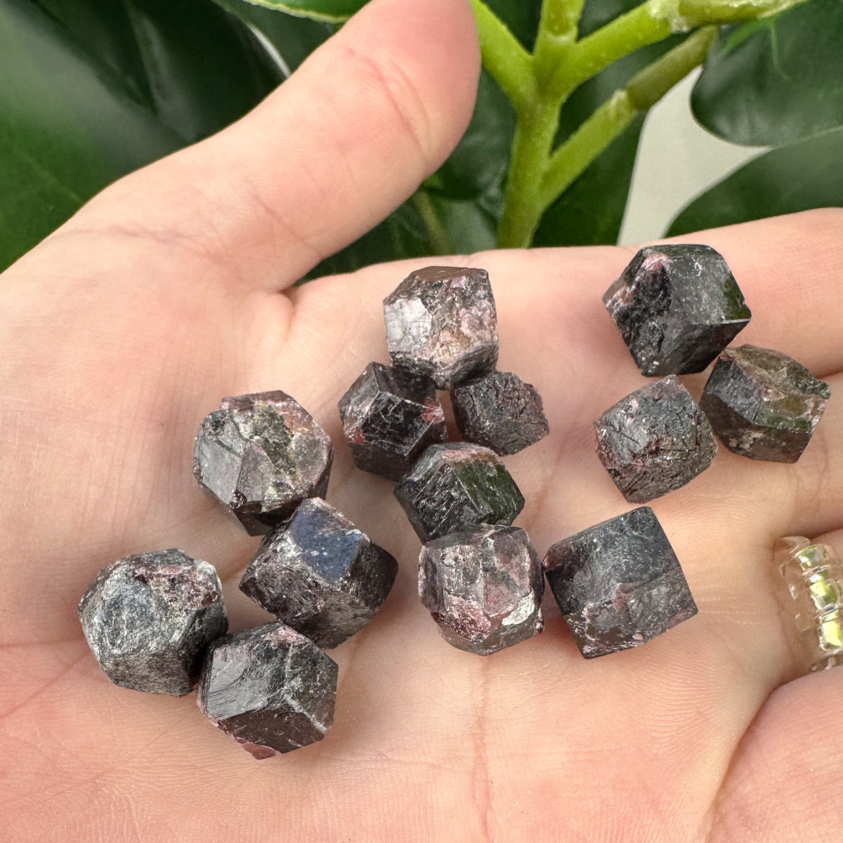 Natural Garnet Rough Crystal | Grounding, Passion & Protection