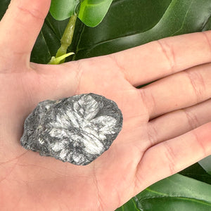 Chiastolite Rough Crystal | Protection, Grounding & Spiritual Strength