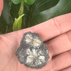 Chiastolite Rough Specimen | Grounding, Protection & Strength