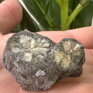 Chiastolite Rough Specimen | Grounding, Protection & Strength