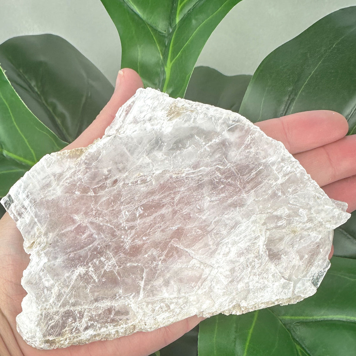 Premium Natural Selenite Window | Cleansing, Clarity & Spiritual Energy