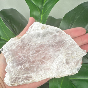 Premium Natural Selenite Window | Cleansing, Clarity & Spiritual Energy