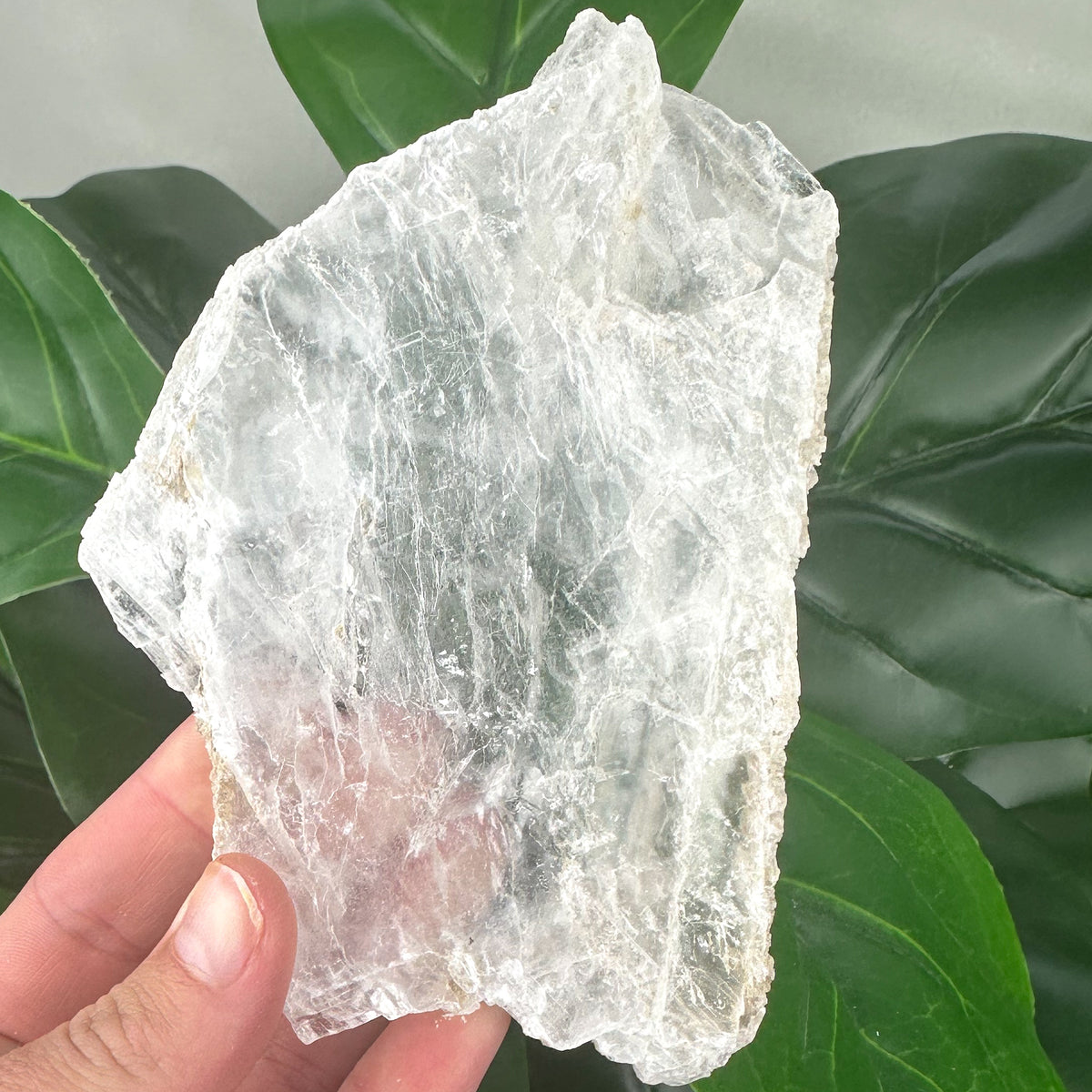 Premium Natural Selenite Window | Cleansing, Clarity & Spiritual Energy