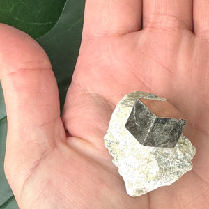 Pyrite in Marlstone Specimen A | Confidence, Protection & Manifestation