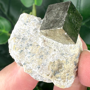 Pyrite in Marlstone Specimen A | Confidence, Protection & Manifestation