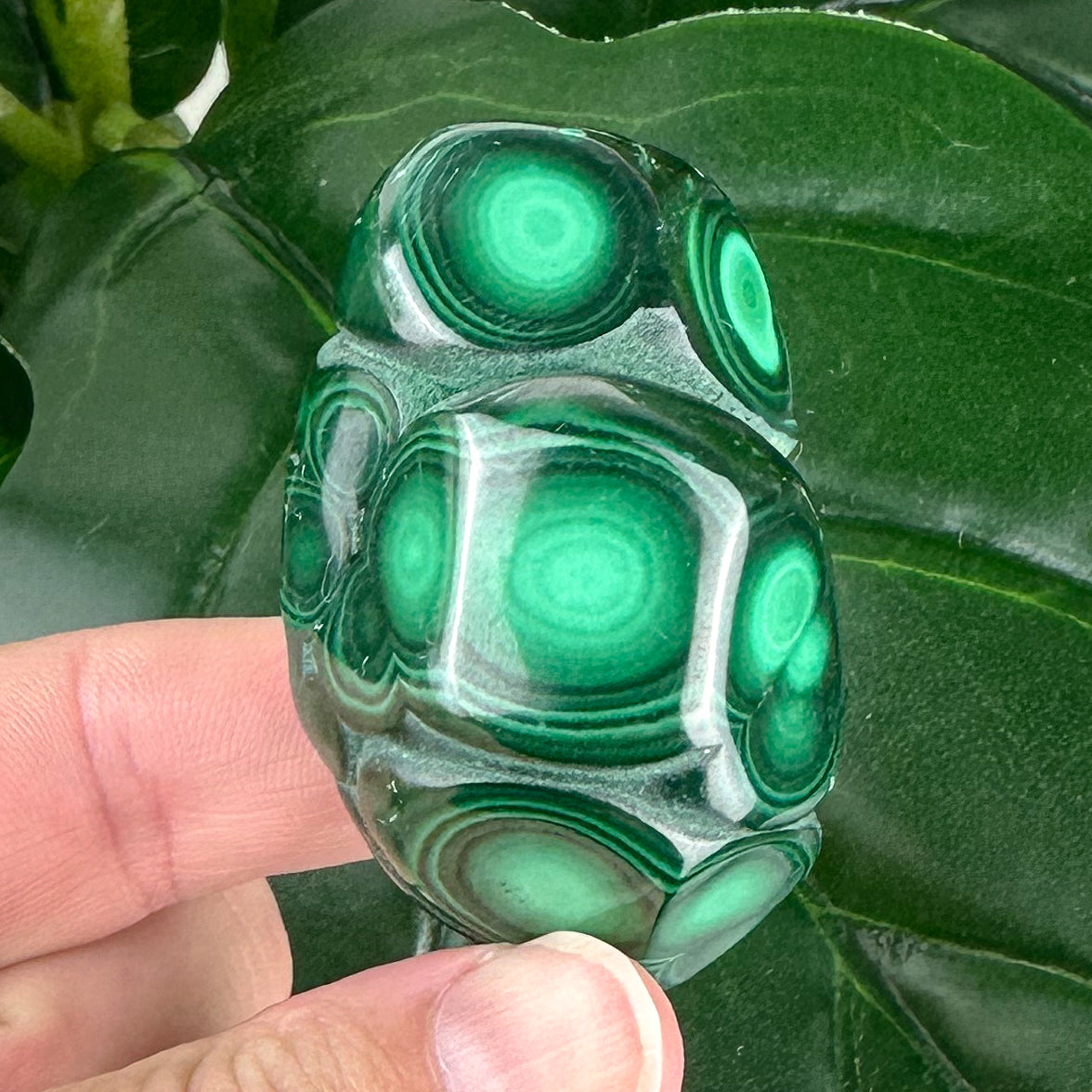 Authentic Malachite Freeform | Dark Green | 74g