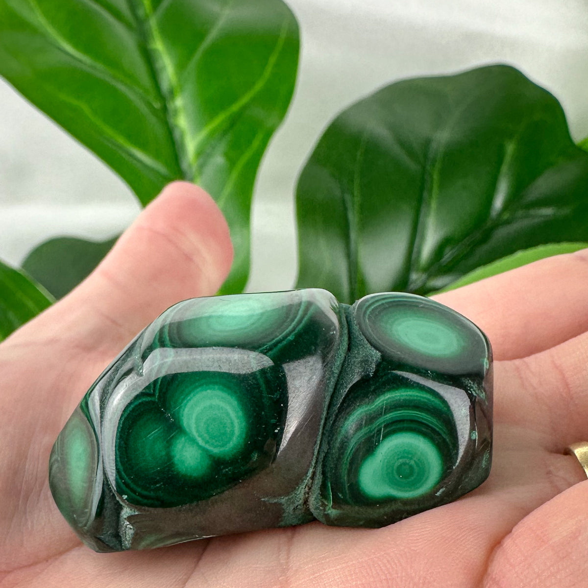 Authentic Malachite Freeform | Dark Green | 74g