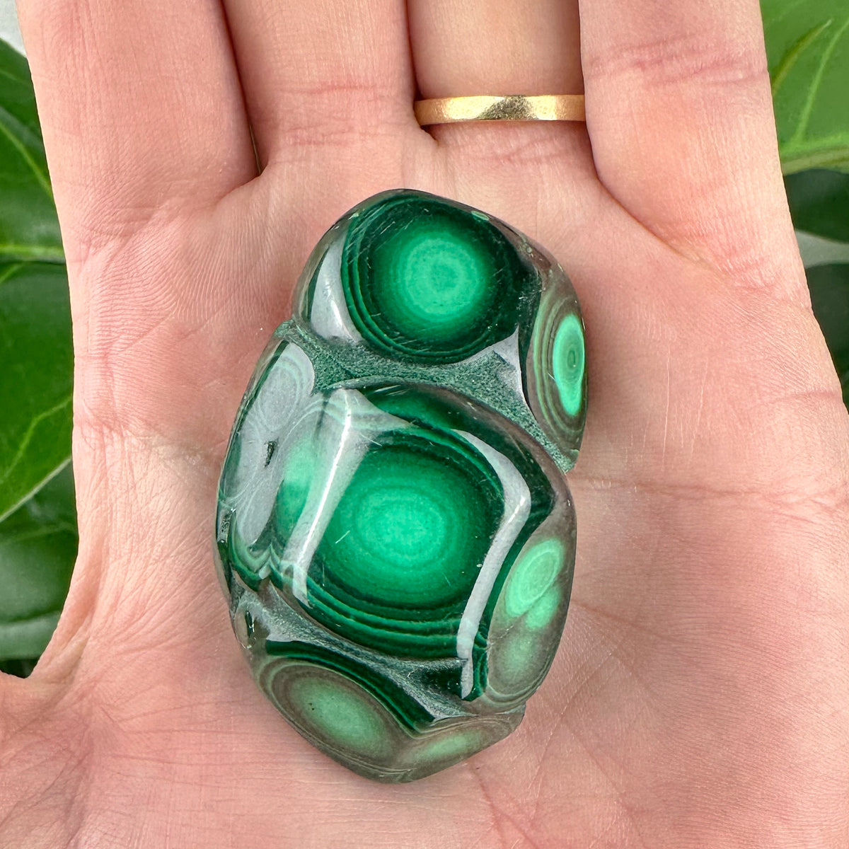 Authentic Malachite Freeform | Dark Green | 74g
